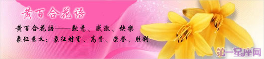 黄百合花语：送黄百合代表什么意思？