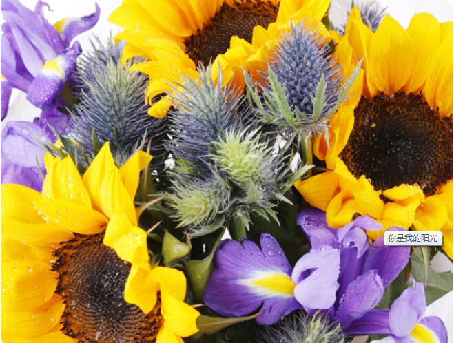 向日葵的花语