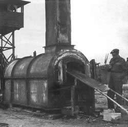 纳粹确定处理犹太人的最后解决方案--种族灭绝