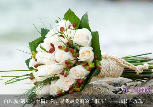 白玫瑰花语：送白玫瑰代表什么意思？