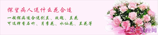 探望病人送什么花合适？