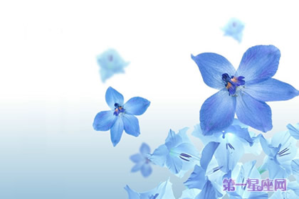 蓝色紫罗兰花语：警戒，我将永远忠诚